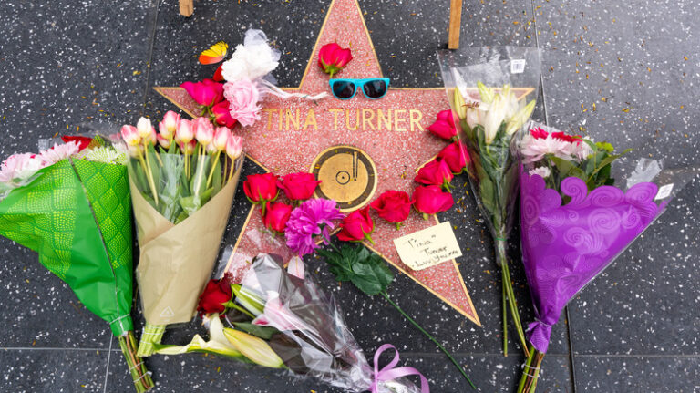 Tina Turner Hollywood boulevard star with flowers