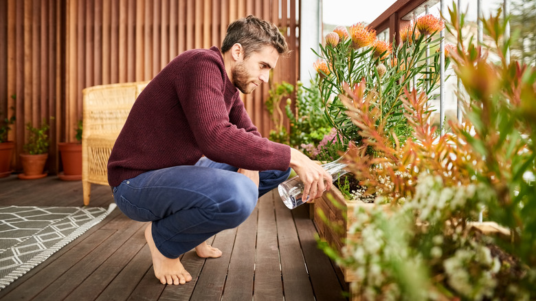 Man watering plants