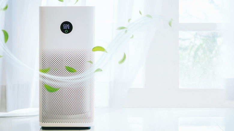 an air purifier 