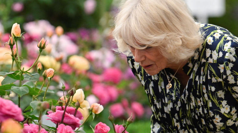 Woman smelling roses
